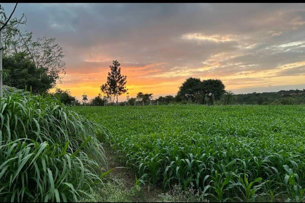 Sattva Farmstay Bangalore Luaran gambar